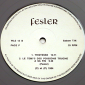 wls 13 b fesler