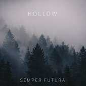 Hollow
