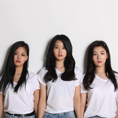 S.E.T