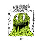 S/T