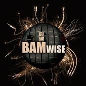 BamWise