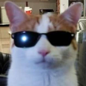 Avatar for senviz