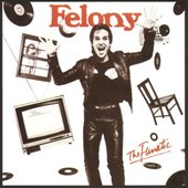 Felony 1983