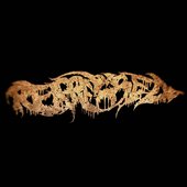 Repressed (Logo)
