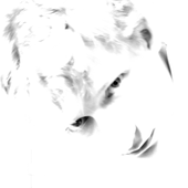 LastFM profile picture for @Crewman