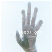 71935011073