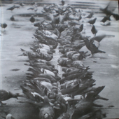 The Scratch Orchestra - London, 1969.png