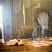 Fact, Fiction and Everything in Between.