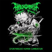 Spontaneous Human Combustion - Single