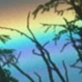 Avatar för rainbowinabox