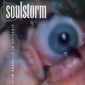 Soulstorm - From Euphoria To Paranoia