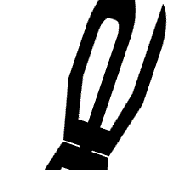 Avatar for Kaskaad