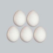 the eggboys