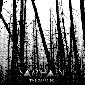 THE OFFERING