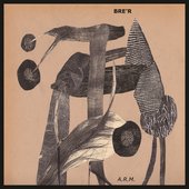 A.R.M.