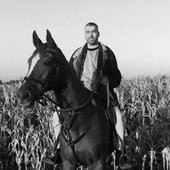 schley horse