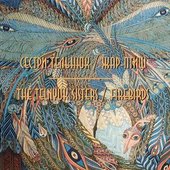 Жар-птиці (Firebirds)