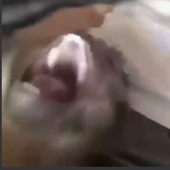 Davinter 的头像