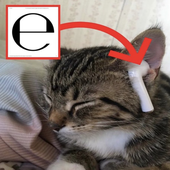 demjurper 的头像
