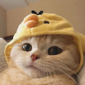 Trulyy_Pred 的头像