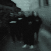 DIESECT
