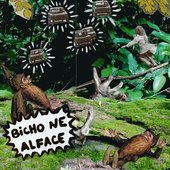 Bicho Ne Alface