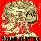No Anger Control