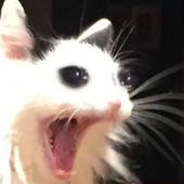 simonyteb 的头像