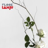 Sanju