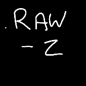 RAW Z masterclass