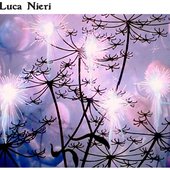 Luca Nieri