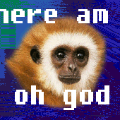 Avatar for htlstm