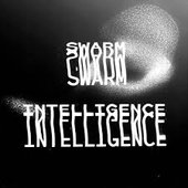 Swarm Intelligence 003