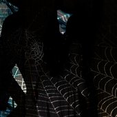 Hex Formes