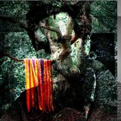 James Holden Animal Spirit 01.jpg