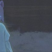 IMG_3537.jpeg