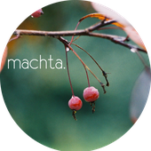 Avatar de machta38