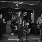 The VooDooS