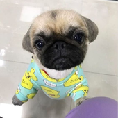 taevify 的头像