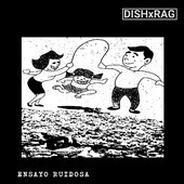 ENSAYO RUIDOSA