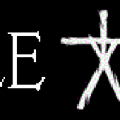 DS_punk_logo.gif