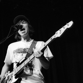 2024/07/29 Little Fernwood