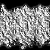 IMG_4941.jpeg