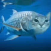 noriquatic 的头像