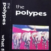 The_Polypes__1992_What_Fun__tape_cover