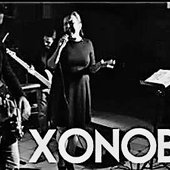 Xonobee (2).jpg