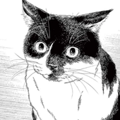 Avatar for StrayYoru