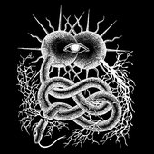 Noctuary