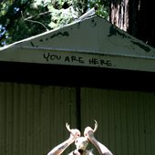None