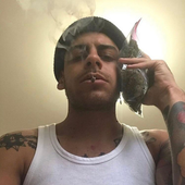 ‎